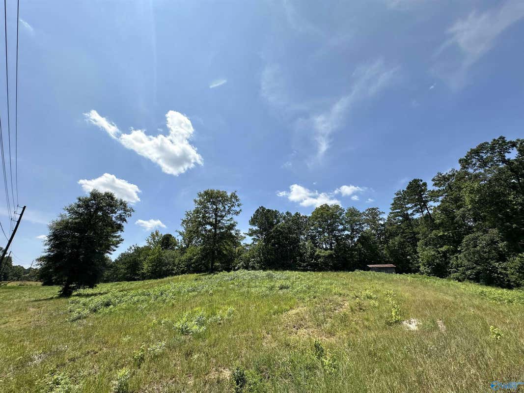 1.8 ACRES +/- TABOR ROAD, GADSDEN, AL 35904, photo 1 of 7