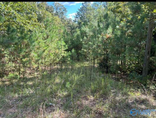 276 SILER RD, PIEDMONT, AL 36272 - Image 1