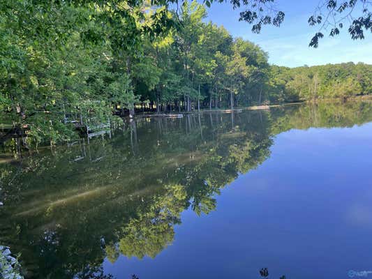 LOT 9 & 10 COUNTY ROAD 609, CENTRE, AL 35960, photo 2 of 50