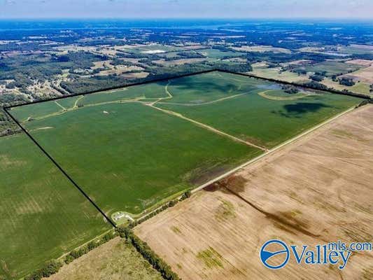 480 ACRES 6TH STREET, LEIGHTON, AL 35646 - Image 1