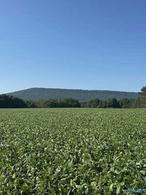 179 ACRES ALABAMA HIGHWAY 117, STEVENSON, AL 35772 - Image 1