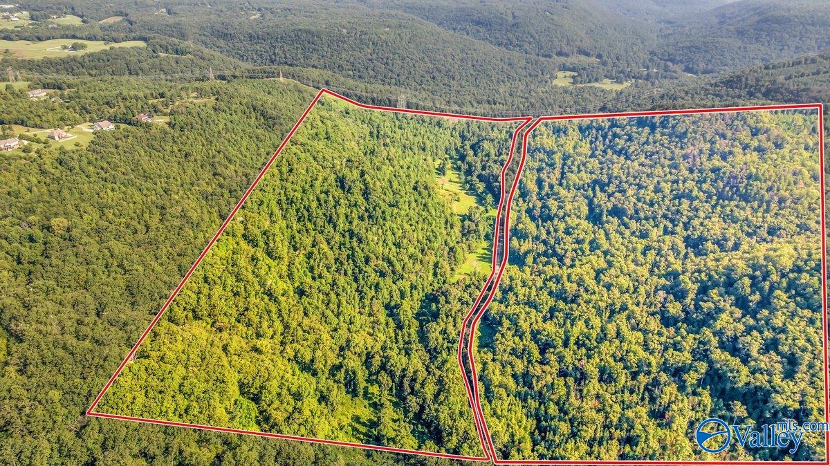 Trenton, Georgia, 30752, United States, 4 Bedrooms Bedrooms, ,4 BathroomsBathrooms,Residential,Active,1963412