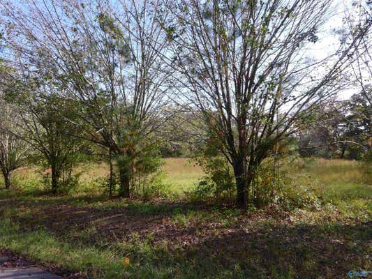 LOTS 3&4 2ND AVENUE SW, ARAB, AL 35016 - Image 1