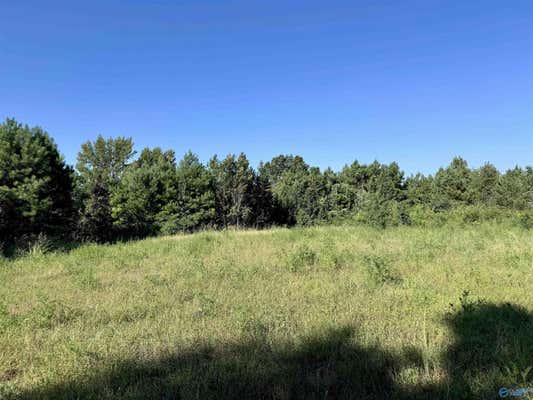 33+/- ACRES COUNTY ROAD 1101, VINEMONT, AL 35179 - Image 1