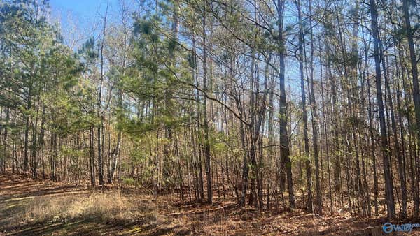 1.3+/- AC STONEY POINT LANDING, DOUBLE SPRINGS, AL 35553, photo 3 of 4