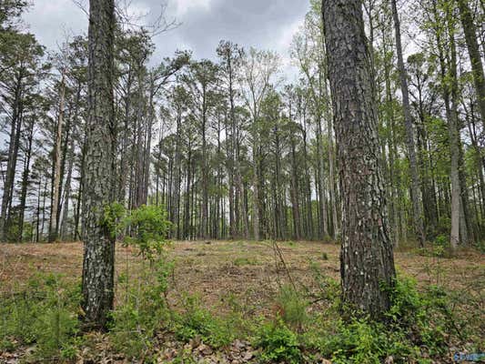 1.12+/- ACRES 0 SCENIC DRIVE, SECTION, AL 35771 - Image 1