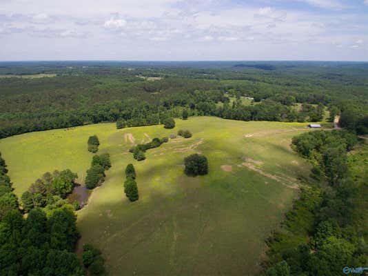 120.5 ACRES COUNTY ROAD 974, LOGAN, AL 35098, photo 5 of 35