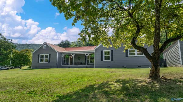 3611 GODFREY AVE NE, FORT PAYNE, AL 35967 - Image 1