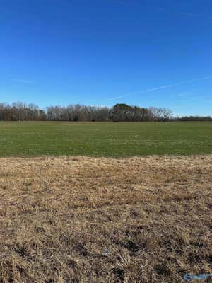 +/- 10 ACRES SALEM ROAD, MINOR HILL, TN 38473 - Image 1