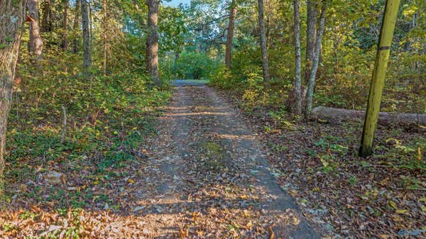 140 S COOL ST, MENTONE, AL 35984, photo 2 of 13