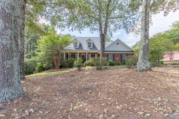 255 RIVER POINTE DR, GUNTERSVILLE, AL 35976 - Image 1