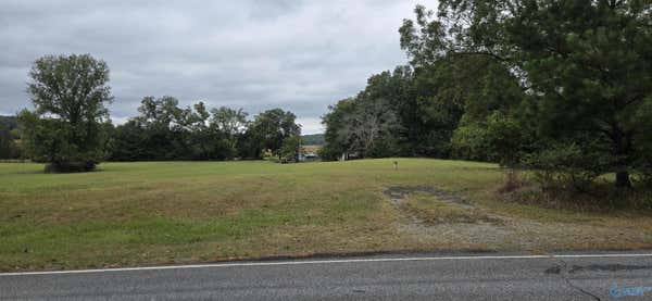 1860 BLUFF CITY RD, SOMERVILLE, AL 35670 - Image 1