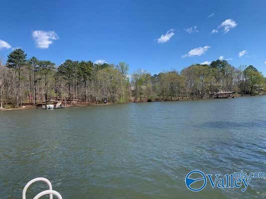 998 COUNTY ROAD 941, CRANE HILL, AL 35053 - Image 1