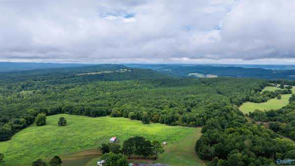 129 ACRES ALABAMA HIGHWAY 68, COLLINSVILLE, AL 35961 - Image 1