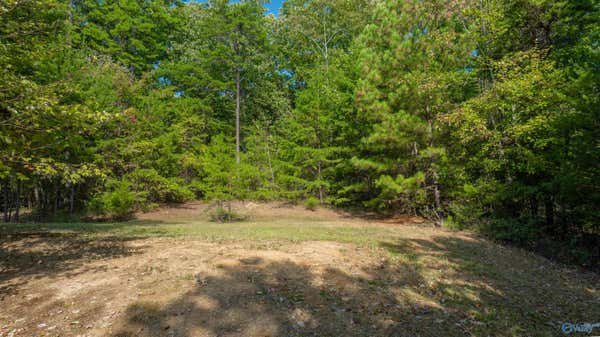 415 COUNTY ROAD 844, MENTONE, AL 35984 - Image 1