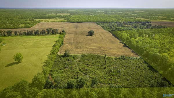 128ACRES COUNTY ROAD 89, ROGERSVILLE, AL 35652, photo 2 of 10