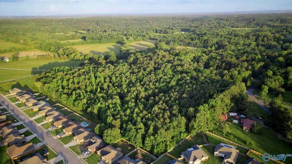 18 ACRES SOUTH CHAPEL HILL ROAD, DECATUR, AL 35603, photo 2 of 9