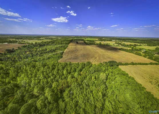 128ACRES COUNTY ROAD 89, ROGERSVILLE, AL 35652, photo 5 of 10