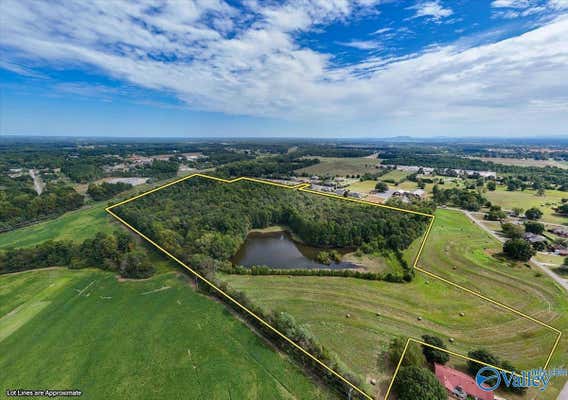 42.24 ACRES MOORESVILLE ROAD, ATHENS, AL 35613 - Image 1