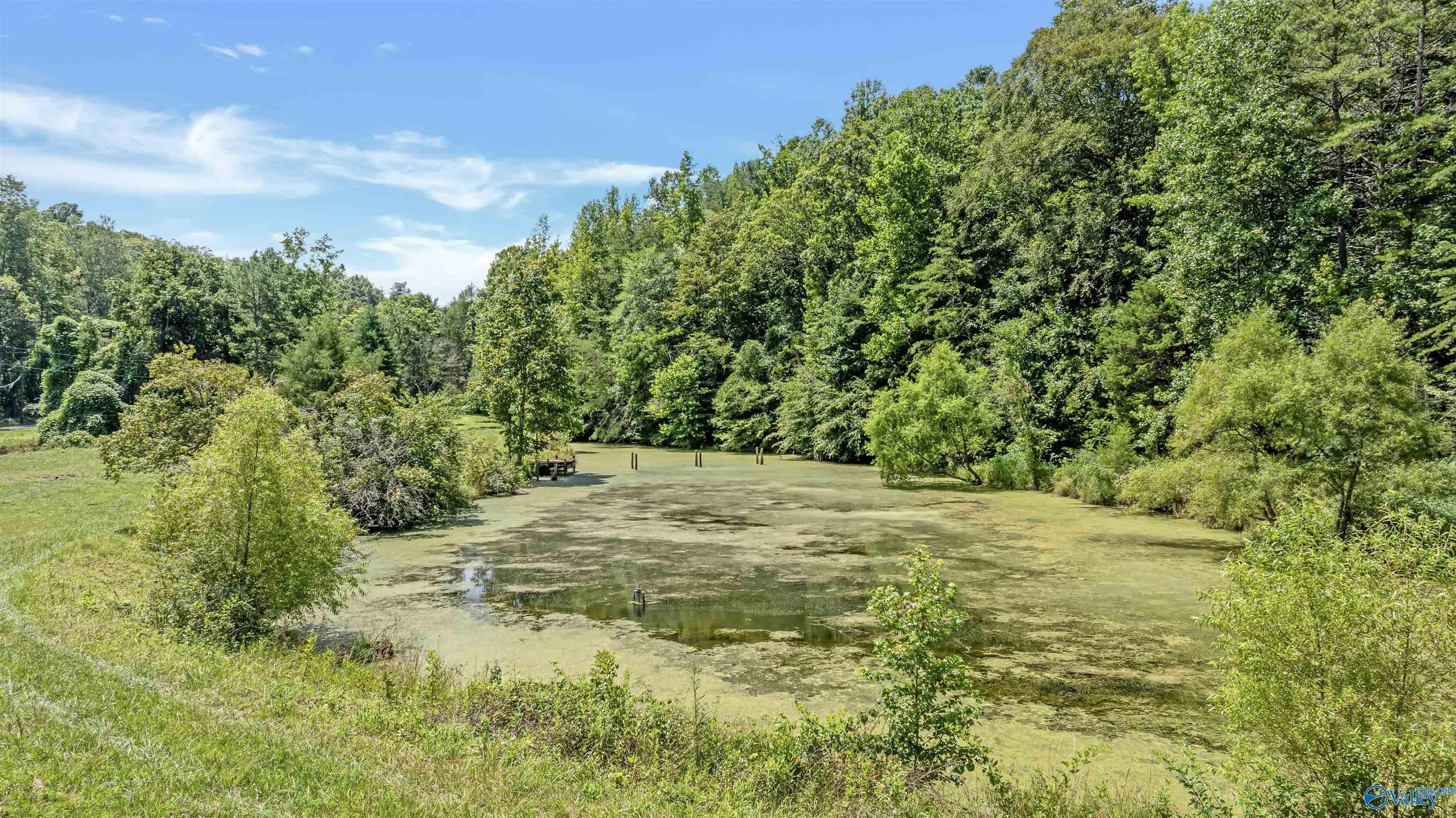 Trenton, Georgia, 30752, United States, 4 Bedrooms Bedrooms, ,4 BathroomsBathrooms,Residential,Active,1963412