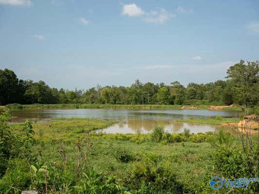 310 COUNTY ROAD 530, COLLINSVILLE, AL 35961 - Image 1