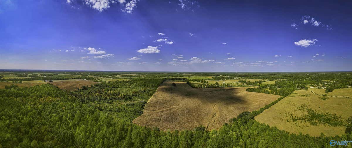 128ACRES COUNTY ROAD 89, ROGERSVILLE, AL 35652, photo 1 of 10