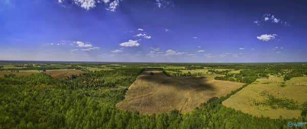 128ACRES COUNTY ROAD 89, ROGERSVILLE, AL 35652 - Image 1