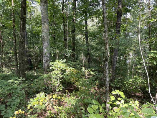 0.53 +/- ACRES MOUNTAIN TOP ROAD, SOUTHSIDE, AL 35907, photo 2 of 2