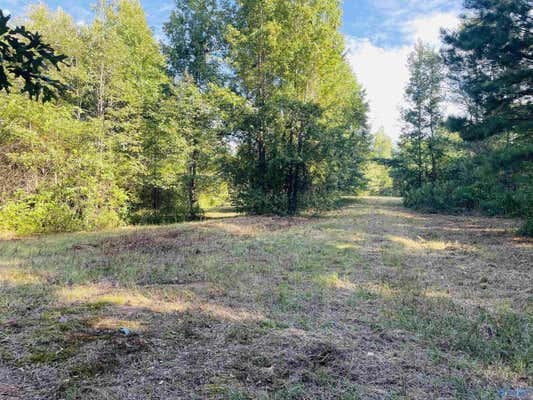 21.5 AC OLD HWY 227, LANGSTON, AL 35755, photo 5 of 50