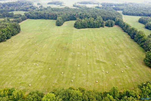 70 ACRES COUNTY ROAD 170, HILLSBORO, AL 35643 - Image 1