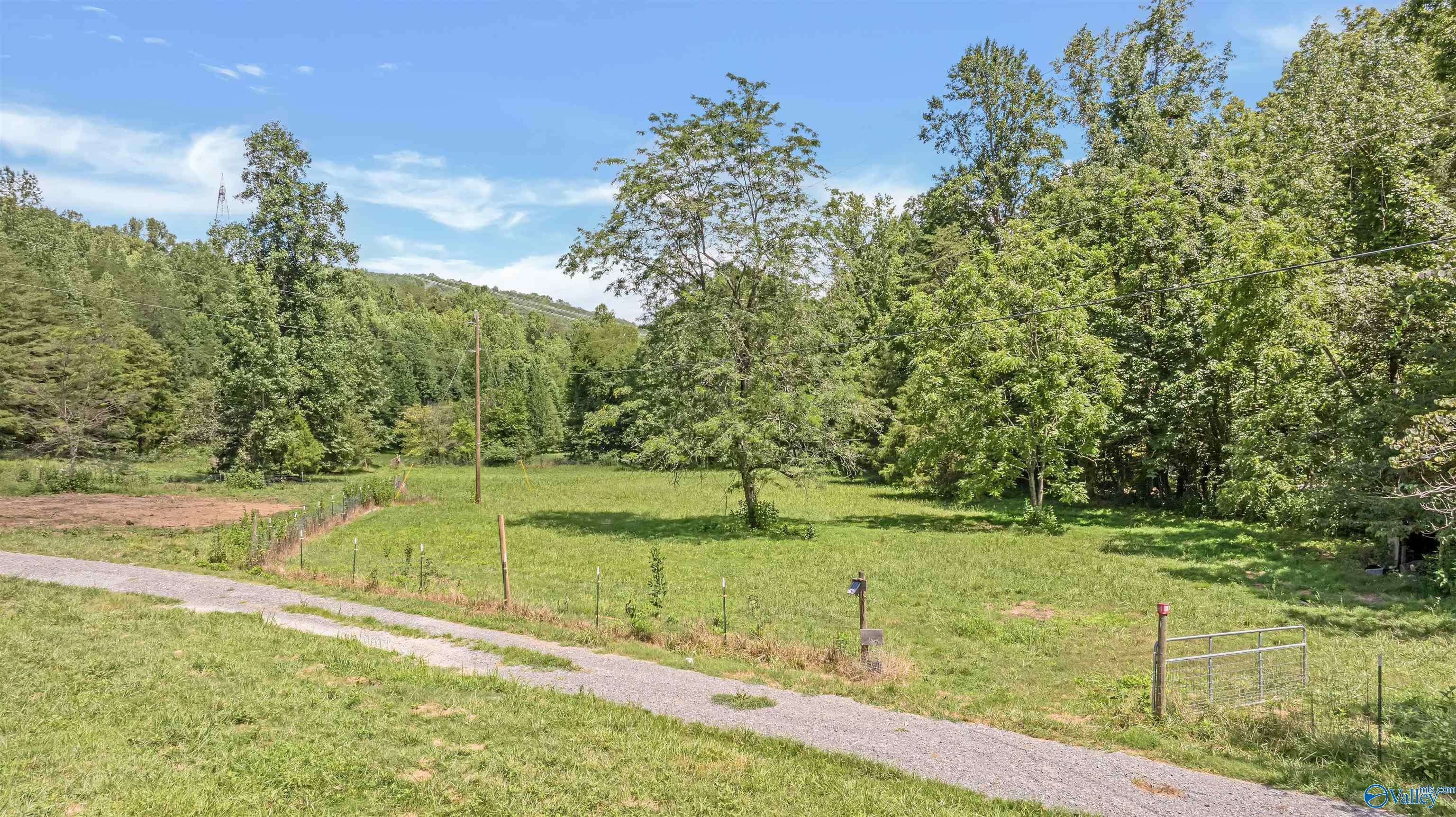 Trenton, Georgia, 30752, United States, 4 Bedrooms Bedrooms, ,4 BathroomsBathrooms,Residential,Active,1963412