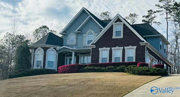 6178 CHULA VISTA RD, SOUTHSIDE, AL 35907 - Image 1