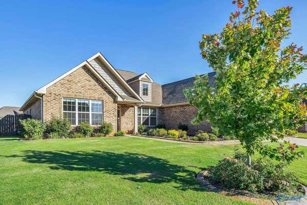 113 COLONY COVE DR, MERIDIANVILLE, AL 35759 - Image 1