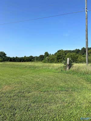 2 ACRES BURNS ROAD, FALKVILLE, AL 35622 - Image 1