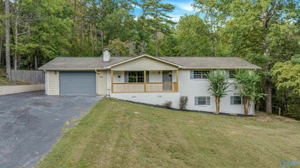 407 35TH ST NW, FORT PAYNE, AL 35967 - Image 1