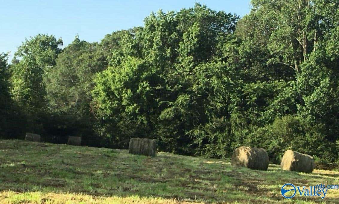 64 ACRES COUNTY ROAD 463, SECTION, AL 35771, photo 1 of 7