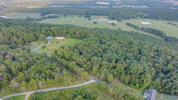 1865 COUNTY ROAD 664, HENAGAR, AL 35978 - Image 1