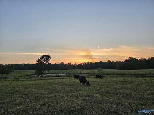 17.98 ACRES LITTLE EGYPT ROAD, TUSCUMBIA, AL 35674, photo 2 of 10