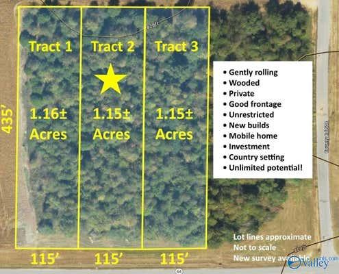 TRACT 2 HIGHWAY 64, LEXINGTON, AL 35648 - Image 1