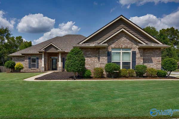 100 RUSHING BROOK DR, MADISON, AL 35756 - Image 1