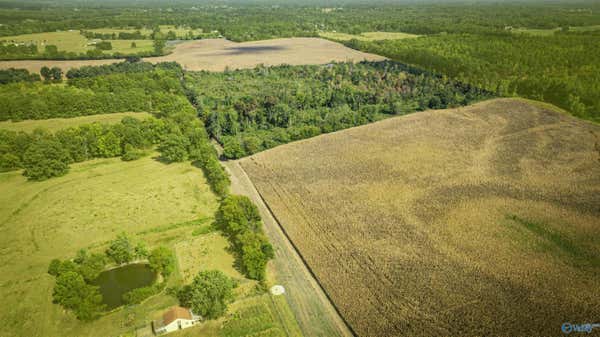 128ACRES COUNTY ROAD 89, ROGERSVILLE, AL 35652, photo 3 of 10