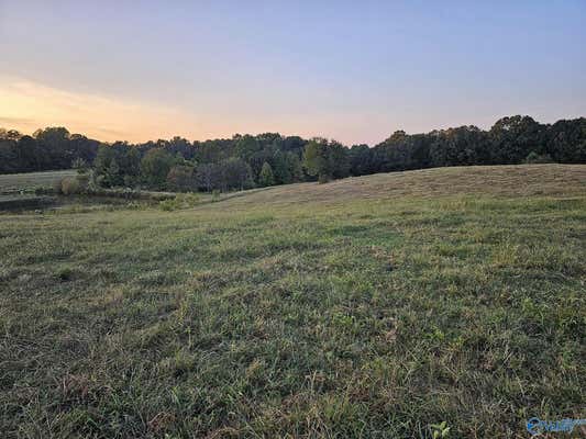 17.98 ACRES LITTLE EGYPT ROAD, TUSCUMBIA, AL 35674, photo 3 of 10