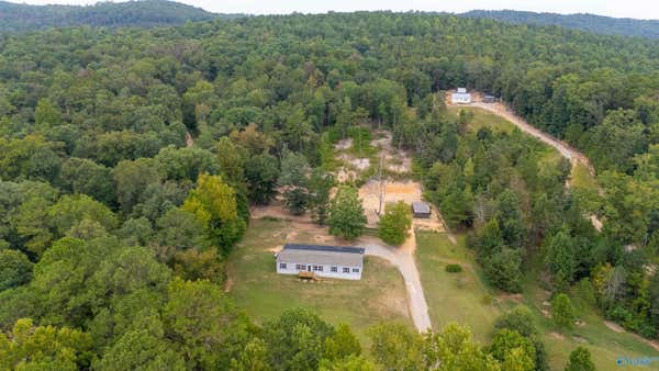 1014 CARNES CHAPEL RD, ATTALLA, AL 35954 - Image 1