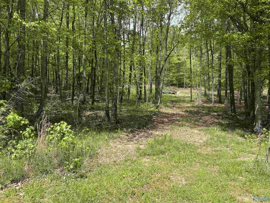 34.5 ACRES GLENN BOULEVARD, FORT PAYNE, AL 35968 - Image 1