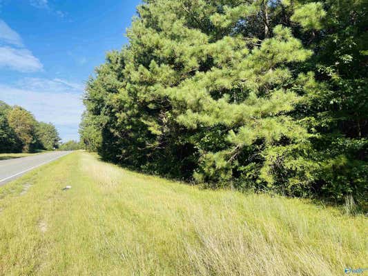 21.5 AC OLD HWY 227, LANGSTON, AL 35755, photo 3 of 50