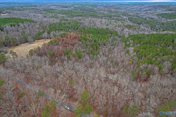 20 ACRES COUNTY ROAD 71, MOULTON, AL 35650, photo 4 of 11