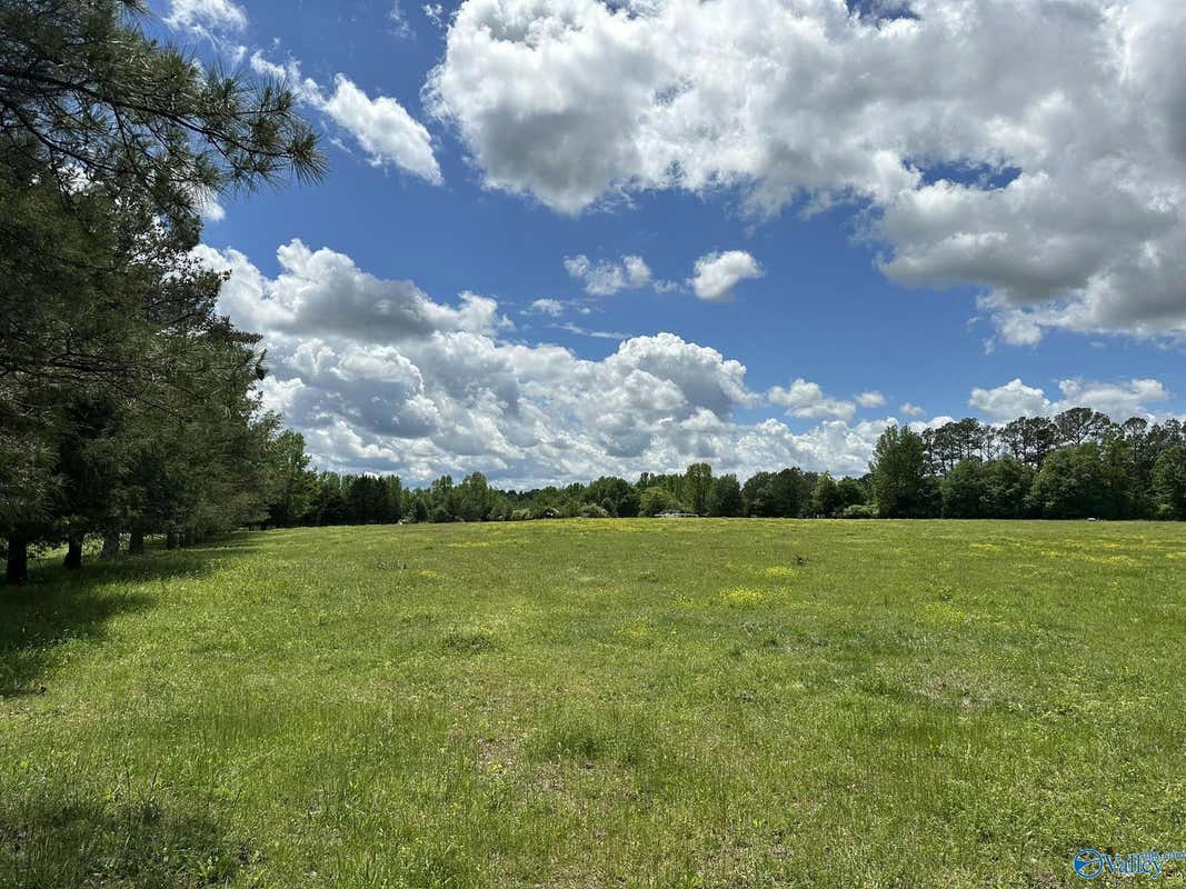 16 ACRES WALLACE DRIVE, HARTSELLE, AL 35640, photo 1 of 17