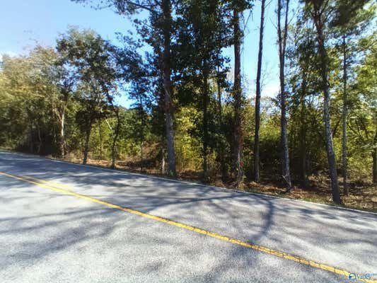 HIGHWAY 49E BLUFF CITY ROAD, SOMERVILLE, AL 35670 - Image 1