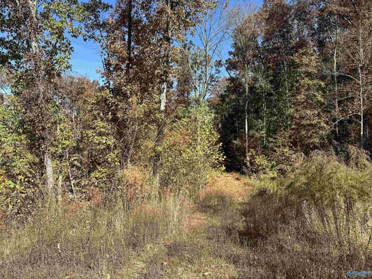 4 ACRES KEEL MOUNTAIN ROAD, GURLEY, AL 35748 - Image 1