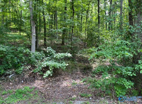 LOT 12 WOOD COVE POINT, SOUTHSIDE, AL 35907 - Image 1